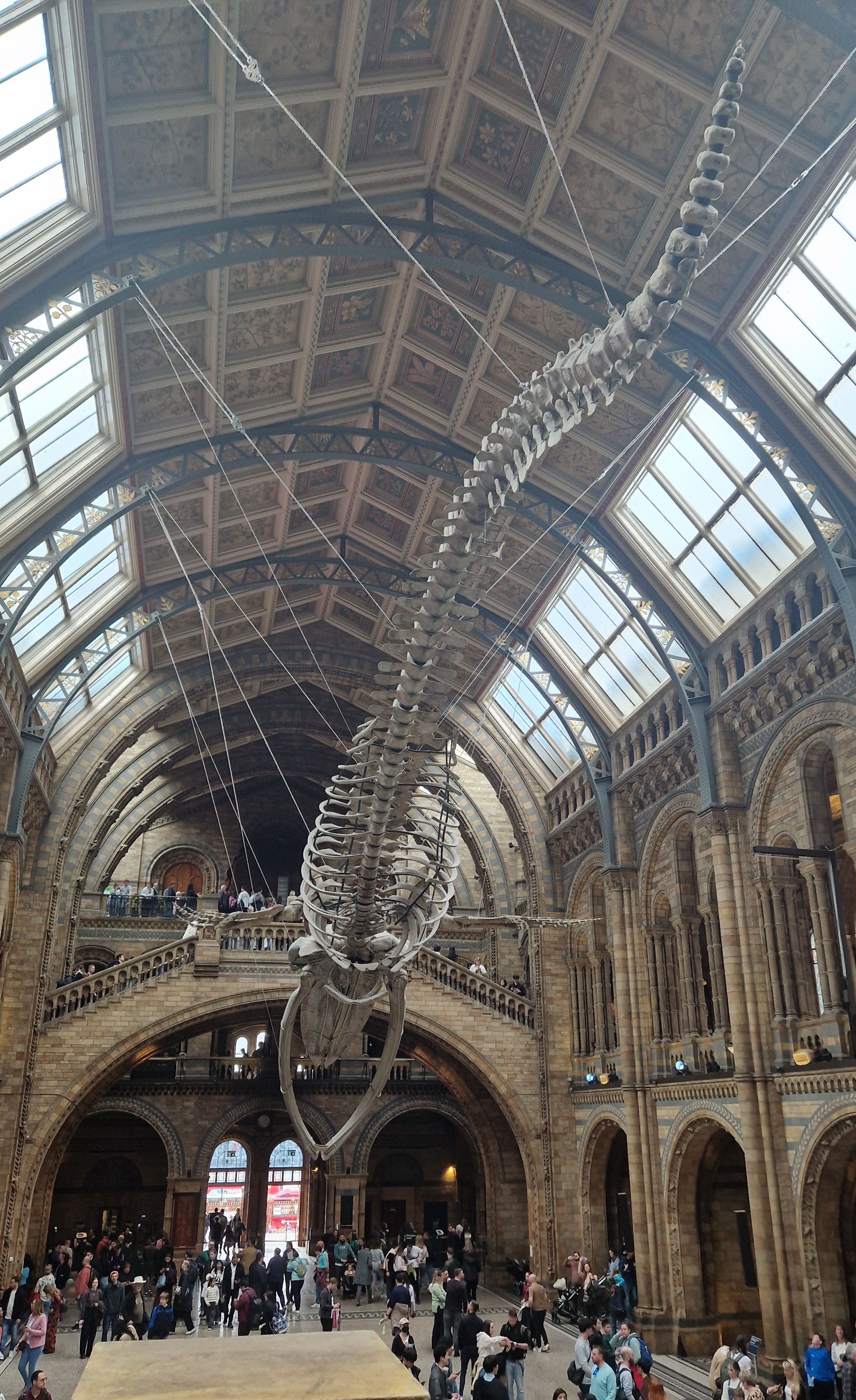 Main hall of the Natural History Museum